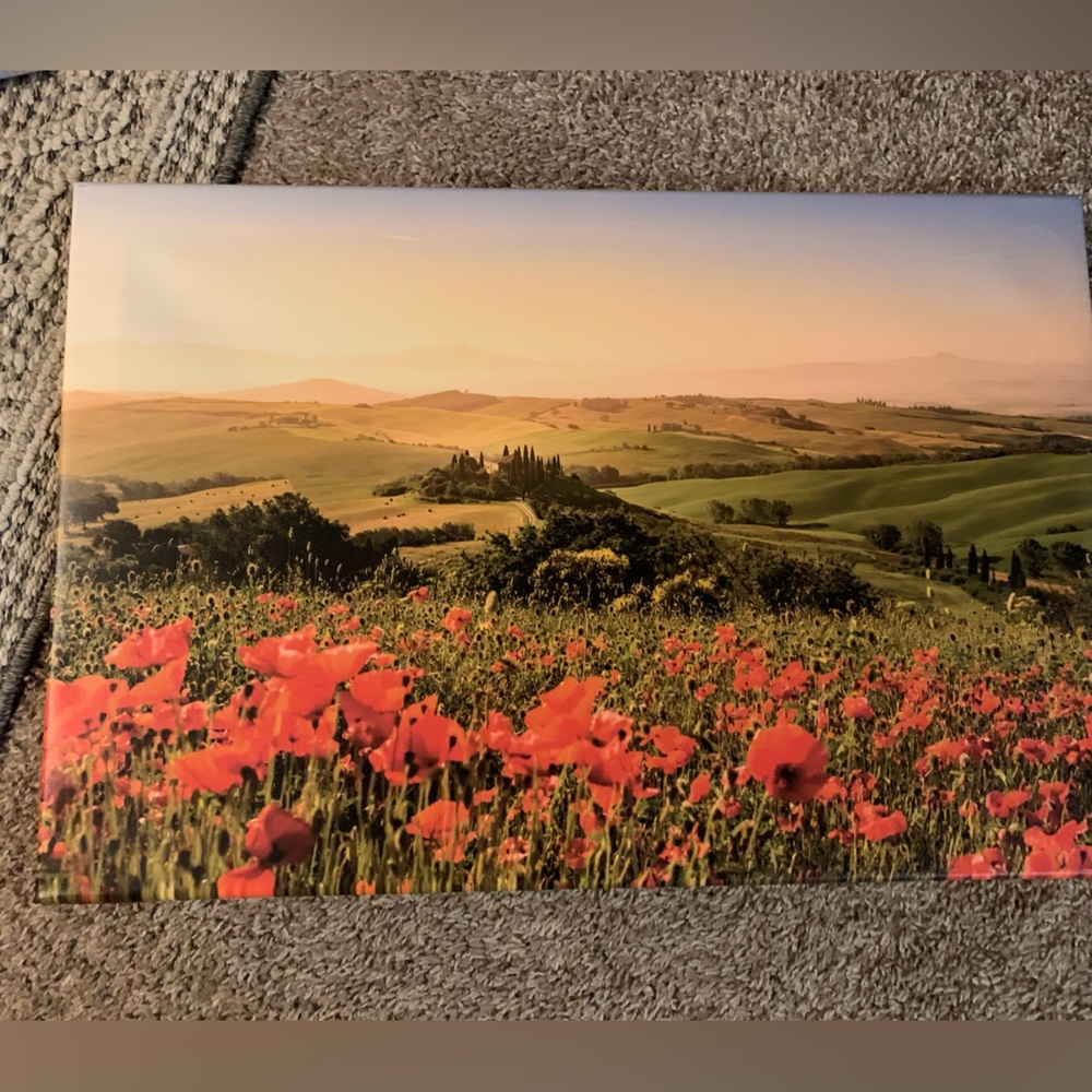 Canvas landscape